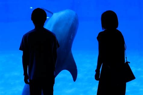 水族館 デート 髪型|デートで行きたい水族館8選＆女性の服装の注意点と .